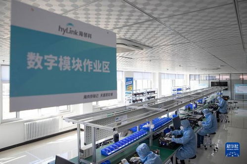 中國(guó)最北自貿(mào)區(qū) 數(shù)字經(jīng)濟(jì)轉(zhuǎn)型中的軟件技術(shù)開(kāi)發(fā)新引擎